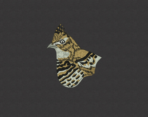 The New Design Frontier